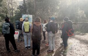 Copie de IMG_20260125_111842