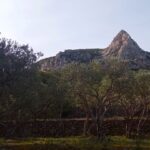 Copie de IMG_20260125_112428