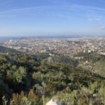 Copie de IMG_3496 copie